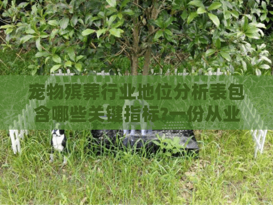 宠物殡葬行业地位分析表包含哪些关键指标?一份从业者视角的深度解读