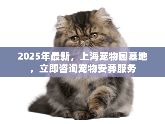 2025年最新，上海宠物园墓地，立即咨询宠物安葬服务
