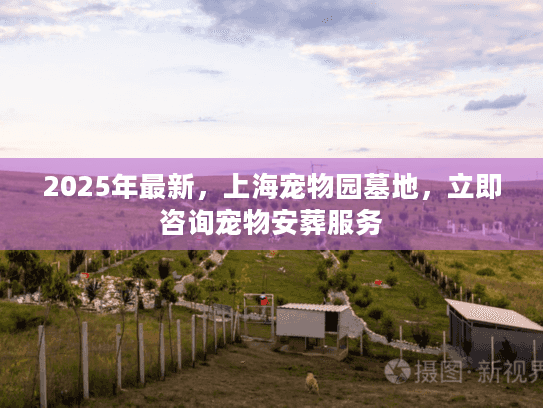 2025年最新，上海宠物园墓地，立即咨询宠物安葬服务