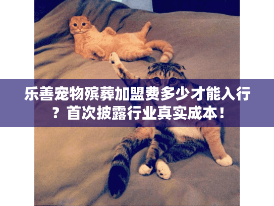 乐善宠物殡葬加盟费多少才能入行？首次披露行业真实成本！