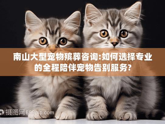 南山大型宠物殡葬咨询:如何选择专业的全程陪伴宠物告别服务?