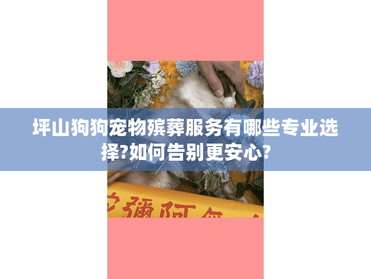坪山狗狗宠物殡葬服务有哪些专业选择?如何告别更安心?