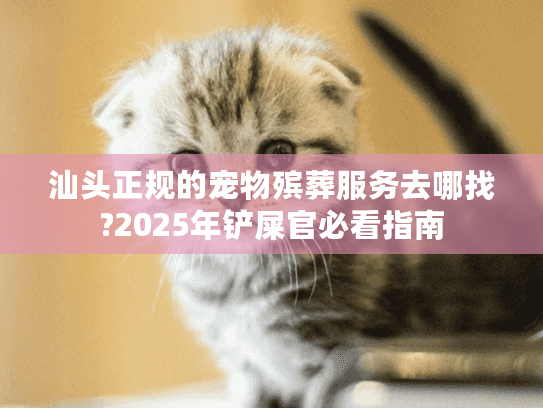 汕头正规的宠物殡葬服务去哪找?2025年铲屎官必看指南