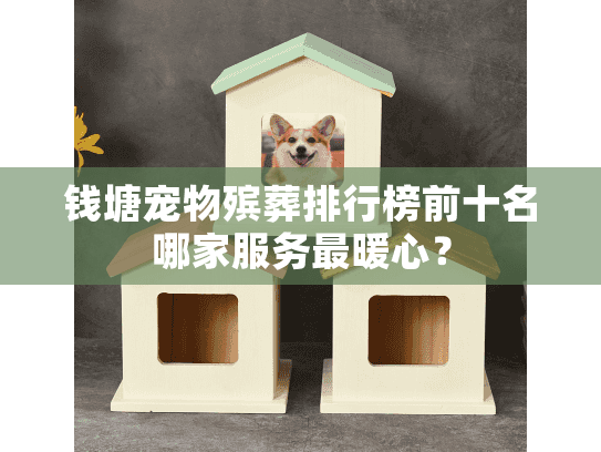钱塘宠物殡葬排行榜前十名哪家服务最暖心？