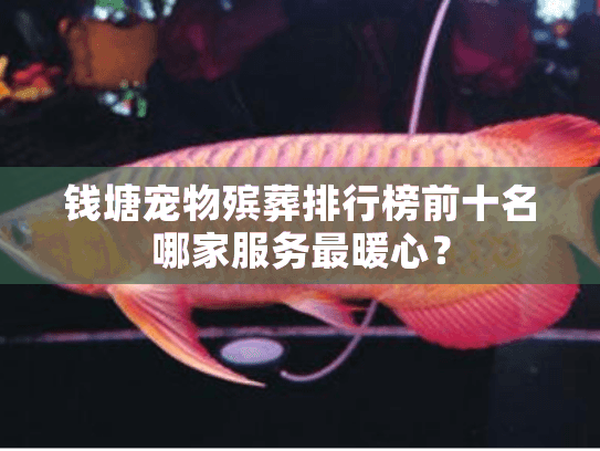 钱塘宠物殡葬排行榜前十名哪家服务最暖心？