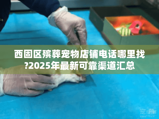 西固区殡葬宠物店铺电话哪里找?2025年最新可靠渠道汇总