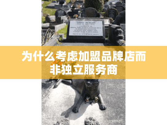 为什么考虑加盟品牌店而非独立服务商