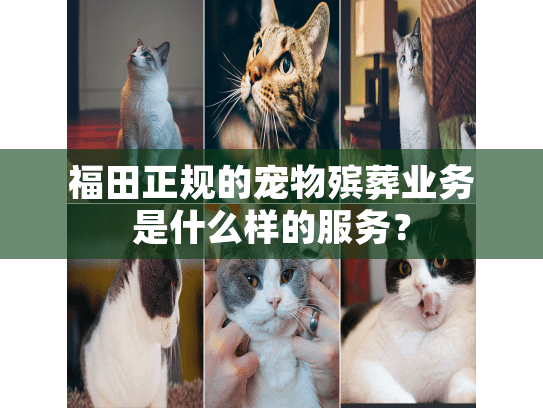 福田正规的宠物殡葬业务是什么样的服务？