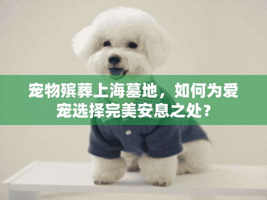 宠物殡葬上海墓地，如何为爱宠选择完美安息之处？