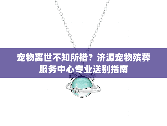宠物离世不知所措？济源宠物殡葬服务中心专业送别指南