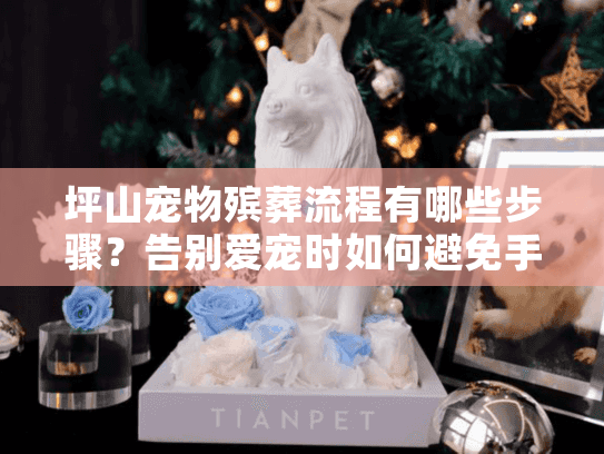 坪山宠物殡葬流程有哪些步骤？告别爱宠时如何避免手足无措