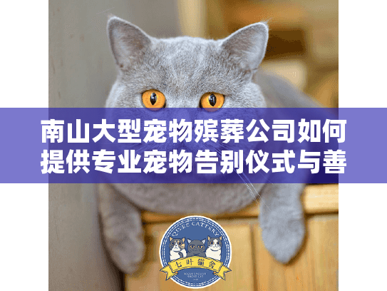 南山大型宠物殡葬公司如何提供专业宠物告别仪式与善后服务？
