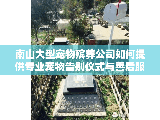 南山大型宠物殡葬公司如何提供专业宠物告别仪式与善后服务？
