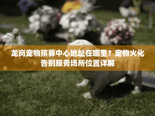 龙岗宠物殡葬中心地址在哪里？宠物火化告别服务场所位置详解