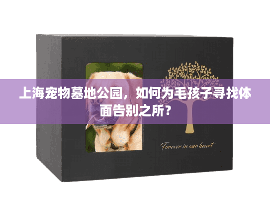 上海宠物墓地公园，如何为毛孩子寻找体面告别之所？