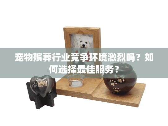 宠物殡葬行业竞争环境激烈吗？如何选择最佳服务？
