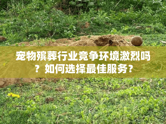 宠物殡葬行业竞争环境激烈吗？如何选择最佳服务？