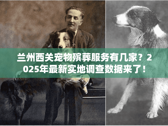 兰州西关宠物殡葬服务有几家？2025年最新实地调查数据来了！