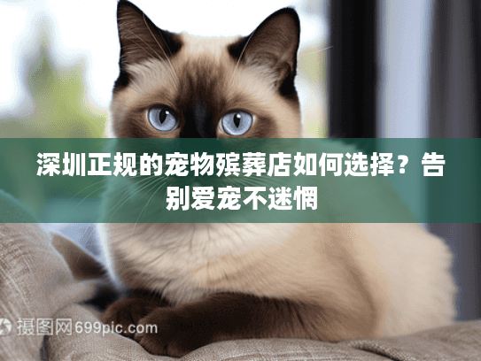 深圳正规的宠物殡葬店如何选择？告别爱宠不迷惘