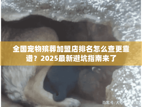 全国宠物殡葬加盟店排名怎么查更靠谱？2025最新避坑指南来了
