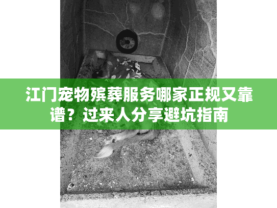 江门宠物殡葬服务哪家正规又靠谱？过来人分享避坑指南