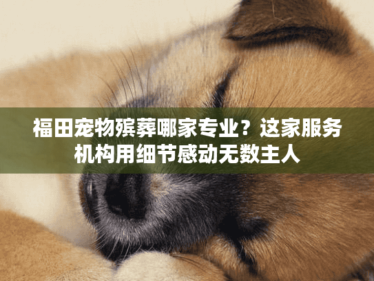 福田宠物殡葬哪家专业？这家服务机构用细节感动无数主人