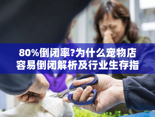 80%倒闭率?为什么宠物店容易倒闭解析及行业生存指南