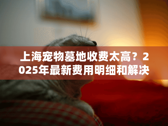 上海宠物墓地收费太高？2025年最新费用明细和解决方案