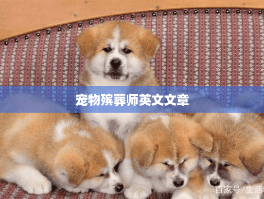 宠物殡葬师英文文章