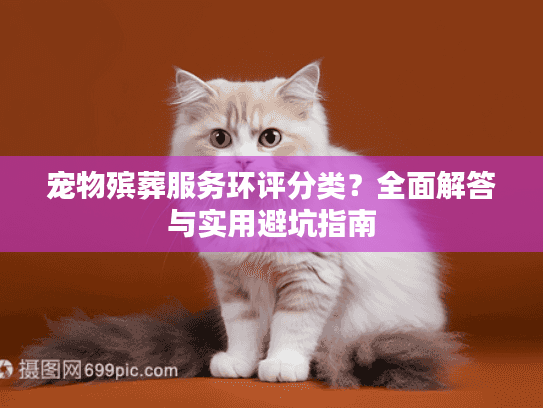 宠物殡葬服务环评分类？全面解答与实用避坑指南