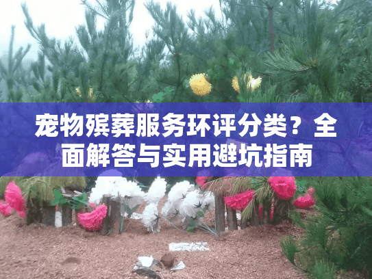 宠物殡葬服务环评分类？全面解答与实用避坑指南