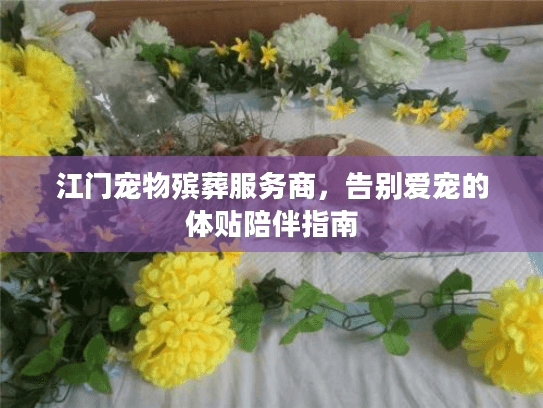 江门宠物殡葬服务商，告别爱宠的体贴陪伴指南