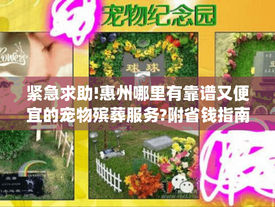 紧急求助!惠州哪里有靠谱又便宜的宠物殡葬服务?附省钱指南)