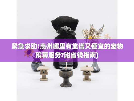 紧急求助!惠州哪里有靠谱又便宜的宠物殡葬服务?附省钱指南)