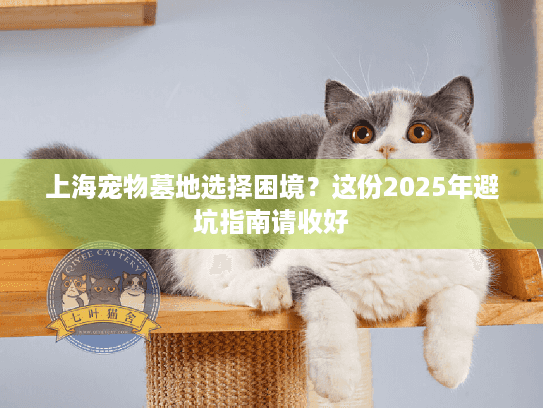 上海宠物墓地选择困境？这份2025年避坑指南请收好