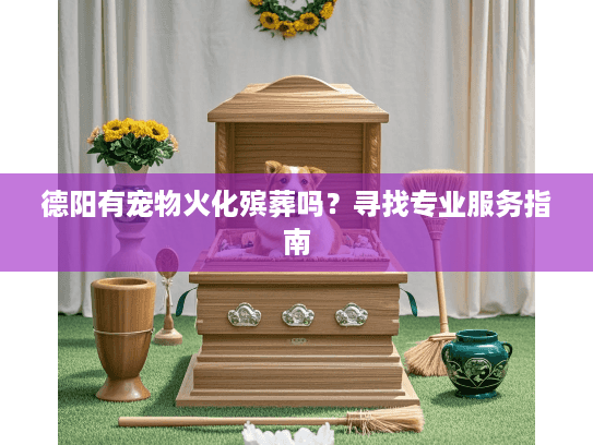 德阳有宠物火化殡葬吗？寻找专业服务指南