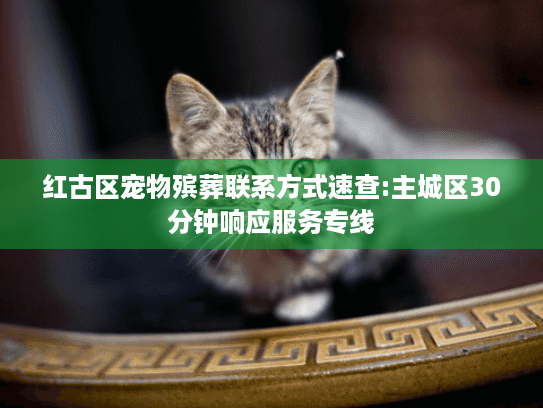 红古区宠物殡葬联系方式速查:主城区30分钟响应服务专线