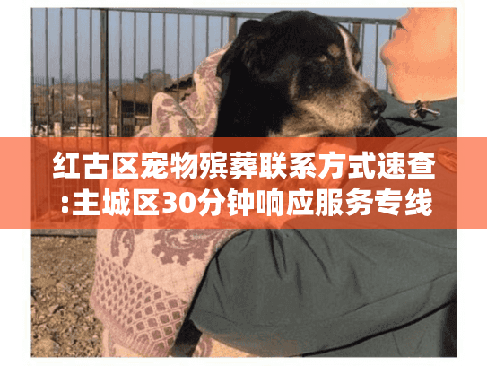 红古区宠物殡葬联系方式速查:主城区30分钟响应服务专线