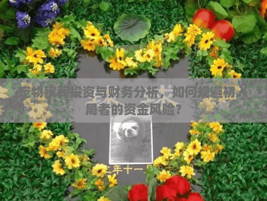 宠物殡葬投资与财务分析，如何规避初入局者的资金风险？