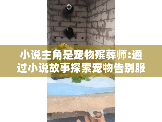小说主角是宠物殡葬师:通过小说故事探索宠物告别服务的疗愈力量?