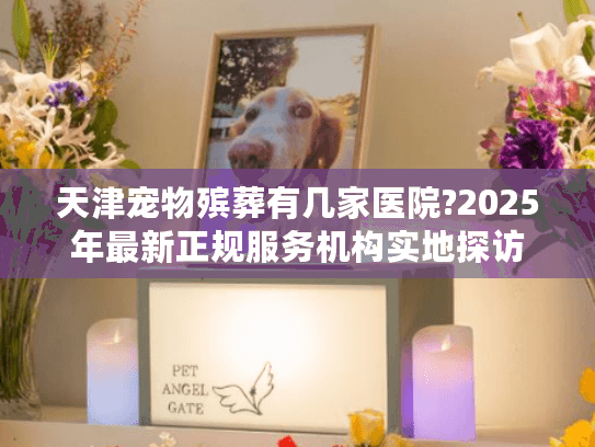 天津宠物殡葬有几家医院?2025年最新正规服务机构实地探访