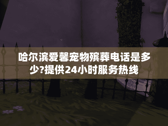 哈尔滨爱馨宠物殡葬电话是多少?提供24小时服务热线