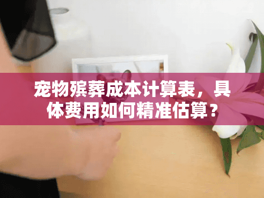 宠物殡葬成本计算表，具体费用如何精准估算？