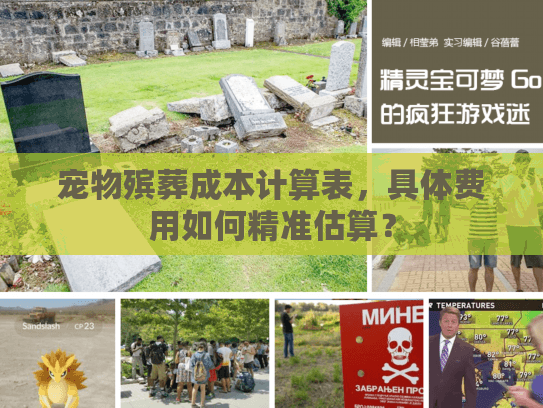 宠物殡葬成本计算表，具体费用如何精准估算？