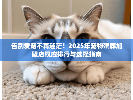 告别爱宠不再迷茫！2025年宠物殡葬加盟店权威排行与选择指南