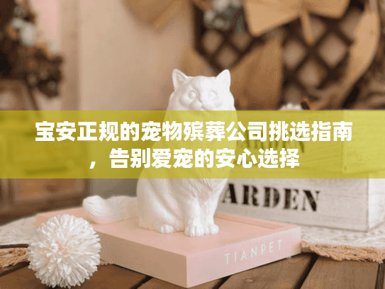 宝安正规的宠物殡葬公司挑选指南，告别爱宠的安心选择