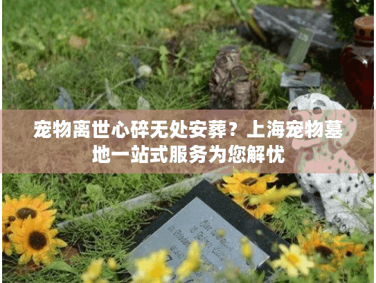 宠物离世心碎无处安葬？上海宠物墓地一站式服务为您解忧