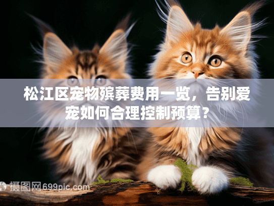松江区宠物殡葬费用一览，告别爱宠如何合理控制预算？