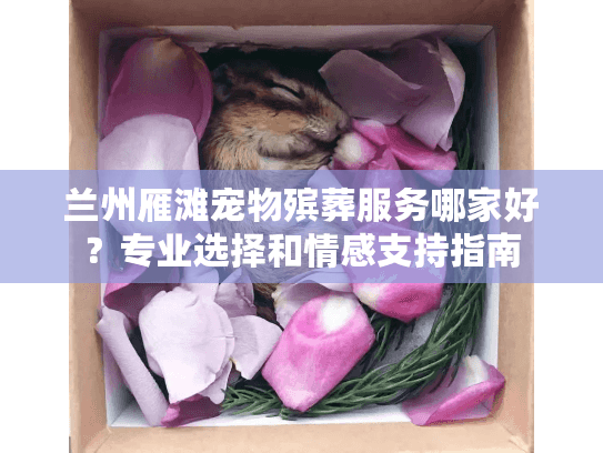 兰州雁滩宠物殡葬服务哪家好？专业选择和情感支持指南