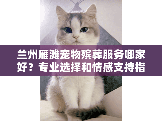 兰州雁滩宠物殡葬服务哪家好？专业选择和情感支持指南
